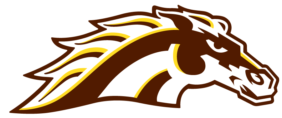Western Michigan Broncos 2021-Pres Secondary Logo iron on transfers for clothing